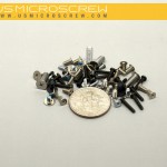 Micro screws